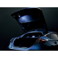 tailgate light